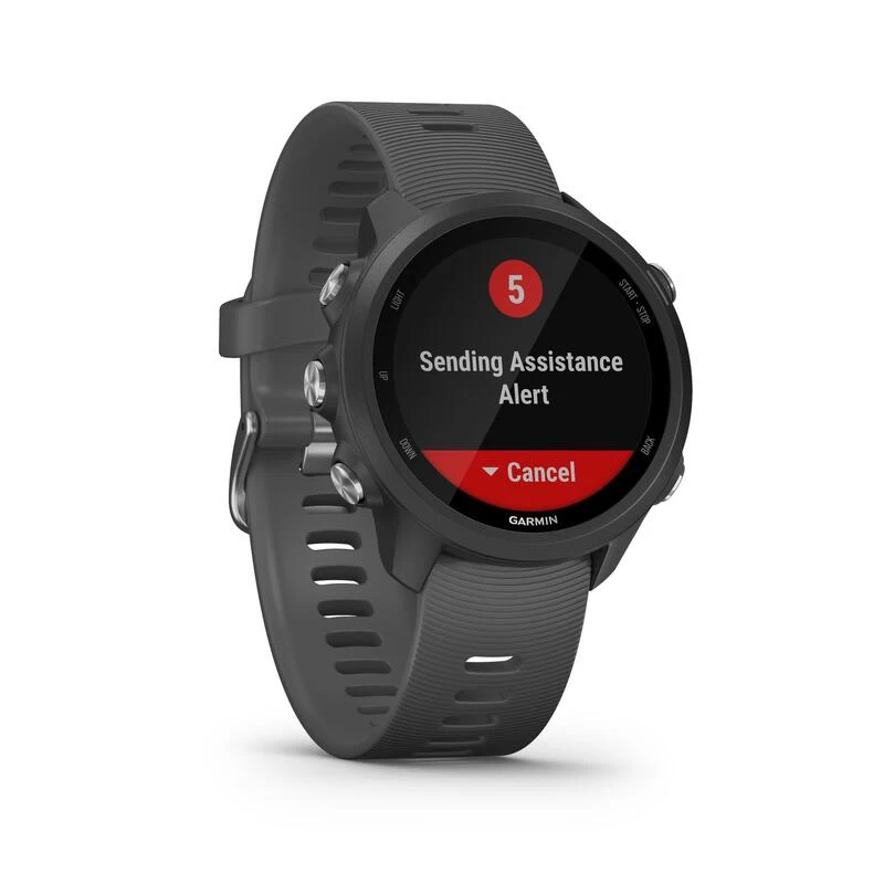 MONTRE CARDIO GPS GARMIN FORERUNNER 245 GRISE 2 MONTRE CARDIO GPS GARMIN FORERUNNER 245 GRISE – Image 2