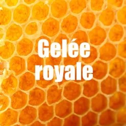 OVERSTIMS Coup De Fouet Citron - 4x30g -Fit Runner Soldes overstims coup de fouet citron 4x30g 4